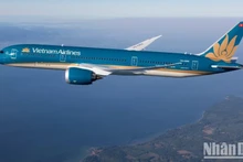 «Vietnam Airlines» – первая авиакомпания Вьетнама, объявившая об открытии прямых рейсов в Италию.