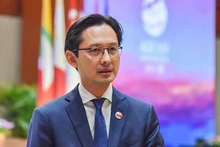 Заместитель министра иностранных дел Вьетнама До Хунг Вьет. Фото: baoquocte.vn