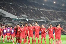 Сборная Вьетнама празднует победу в финале Кубка АСЕАН 2024 года. Фото: Тхань Дат