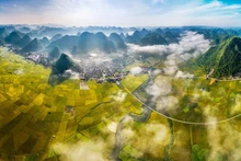 Красота горных пейзажей Налаи (Лангшон) во время сбора урожая. Фото: toquoc.vn