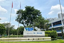1-й вьетнамско-сингапурский индустриальный парк (VSIP I). Фото: vietnammoi.vn