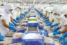 Переработка морепродуктов для экспорта.