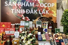 Разнообразные кофейные продукты OCOP из провинции Даклак на выставке.