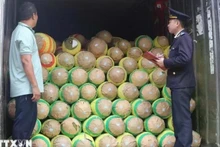 Сотрудник таможни проверяет сельскохозяйственную продукцию перед экспортом на пограничном пункте Хыунги в провинции Лангшон.