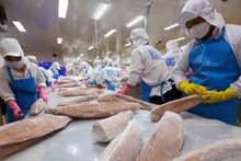 Вьетнам занял четвертое место на рынке морепродуктов Сингапура. Фото: ВИA