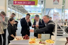 Новые вьетнамские фрукты завоевали вкус европейских потребителей.