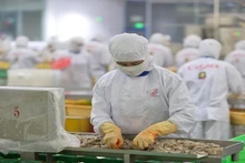 Ожидается, что экспорт морепродуктов в Китай значительно вырастет в 2024 году.