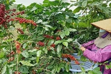 Иллюстрация.