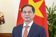 Министр иностранных дел Вьетнама Буй Тхань Шон. Фото: dangcongsan.vn