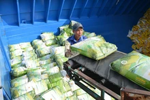 Экспортный оборот вьетнамского риса на некоторые рынки в ЕС вырос до трехзначных цифр.