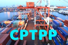 Экспорт морепродуктов в страны-члены ВПТТП в последние годы постоянно растет. Фото: VGP
