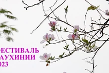 Фестиваль баухинии-2023: Фестиваль красок культуры Дьенбьен