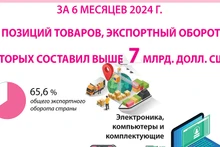 7 позиций товаров, экспортный оборот которых составил выше 7 млрд долл. США за 6 месяцев 2024 г.