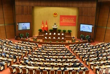 Общий вид конференции.