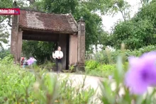 Деревня Дыонглам сохраняет основные характеристики северной деревни.