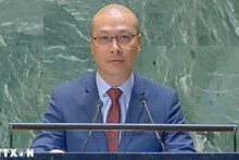 Советник-посланник, заместитель главы постоянной миссии Вьетнама при ООН Нгуен Хоанг Нгуен выступает на заседании. Фото: ВИА