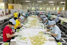 Кокосовые конфеты – популярный продукт OCOP провинции Бенче. Фото: Тхом Чан