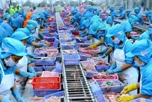 Экспорт рыбной продукции достиг 10 миллиардов долларов США