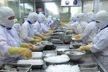 Переработка водной продукции на экспорт в АО Cafatex (провинция Хаужанг). Фото: Чан Куок
