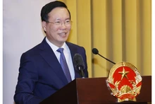 Президент Во Ван Тхыонг выступает на конференции. Фото: vovworld.vn