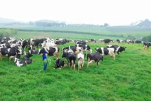 Стоимость экспорта продукции животноводства должна составить 3-4 млрд долл. США к 2030 г.