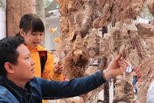 Туристы впечатлены искусными изделиями из корней бамбука. Фото: ВИА