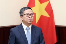 Заместитель министра иностранных дел Фам Тхань Бинь. Фото: baoquocte.vn