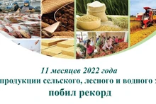 Экспорт продукции сельского, лесного и водного хозяйства побил рекорд