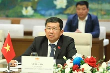 Председатель Комитета НС по внешним связям Ву Хай Ха. Фото: ВИА