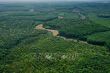 Фото: ВИА
