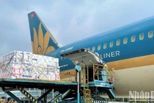 «Vietnam Airlines» доставила около 90 тонн свежих личи в Великобританию, Францию, Германию, Японию, Малайзию, Лаос и Камбоджу.