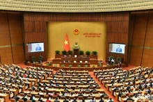 Заседание 8-й сессии Национального собрания XV созыва. Фото: Данг Кхоа