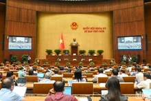 Общий вид заседания 16 мая. Фото: Буй Жанг