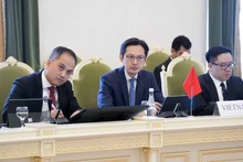 Делегация Вьетнама на совещании. Фото: baoquocte.vn