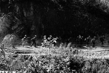 Освободительная армия Читхиен выходит на поле боя, начиная операцию. (Фото: До Чанг/ВИА)