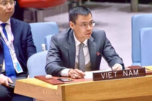 Посол Данг Хоанг Жанг выступает на заседании. Фото: baoquocte.vn