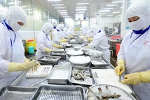 Переработка морепродуктов на заводе АО Cafatex в провинции Хаужанг. Фото: Дык Ан