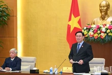Председатель НС Выонг Динь Хюэ выступает на конференции. Фото: Зюи Линь
