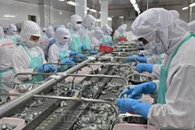 В 2024 году Вьетнаму занял третье место в мире по экспорту рыбной продукции. Фото: ВИА