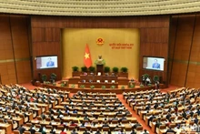 Заседание 8-й сессии НС XV созыва. Фото: Данг Кхоа