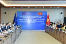 Общий вид заседания. Фото: baoquocte.vn