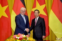 Президент Во Ван Тхыонг и Президент Германии Франк-Вальтер Штайнмайер. Фото: Данг Кхоа