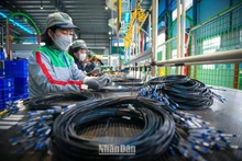 Фото: Тхань Дат