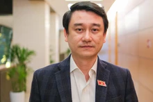 Зампредседателя Комитета НС по внешним связям Ле Ань Туан. Фото: quochoi.vn