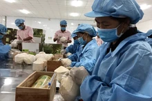 Потенциальным экспортным продуктом в 2024 году считается кокос.