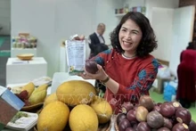 Представление вьетнамской фермерской продукции на 41-й ярмарке «Макфрут» в г. Римини, регион Эмилия-Романья, Италия. Фото: ВИA