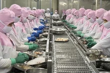 Обработка креветок для экспорта в провинции Шокчанг. Фото: ВИA