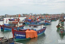 Оффшорные рыболовные суда рыбаков Куангбиня. Фото: Йен Ньи