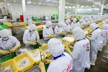 Переработка водных продуктов в АО Cafatex (провинция Хаужанг). Фото: Чан Куок