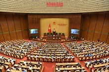 Общий вид заседания вопросов и ответов. Фото: Данг Кхоа